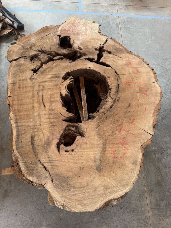 CAT3-12