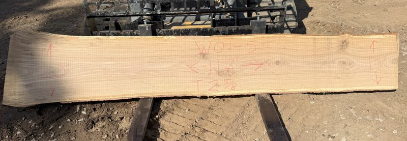 WO1-5