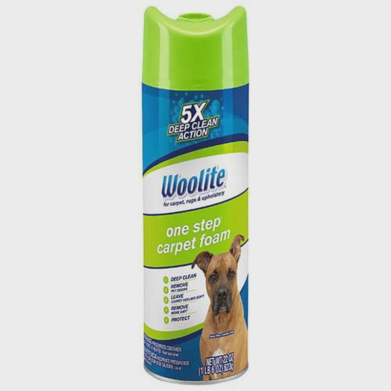 08213 - Woolite One Step Carpet Foam 22oz