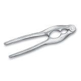 B-LOBS-7 - Nut Cracker, SS