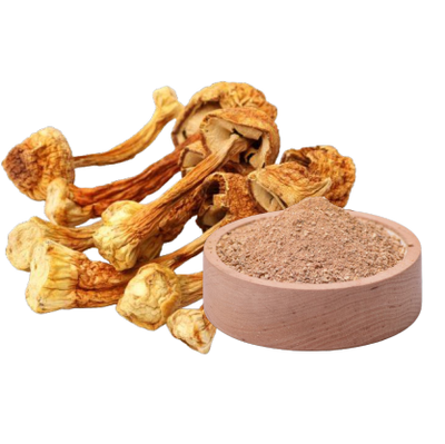 Royal Sun Agaricus Extrakt ( 60 Kapseln x 400mg)