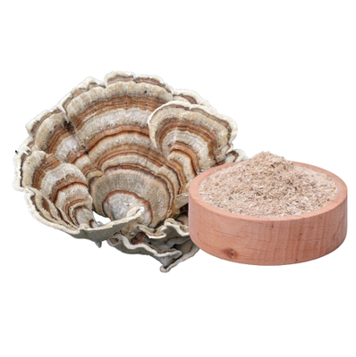 Turkey Tail (Trametes versicolor) Extrakt ( 60 Kapseln x  400mg)