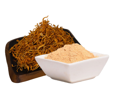 Cordyceps Extrakt hochkonzentriert (500 mg x 60 Kapseln)