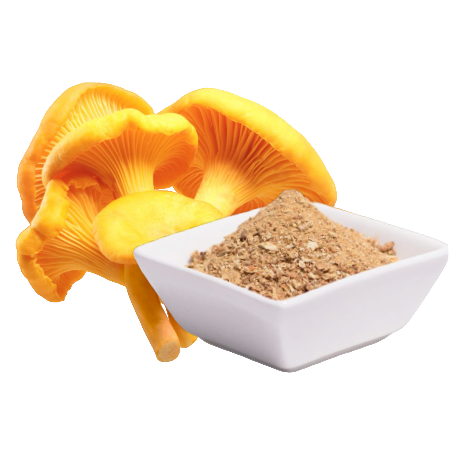 Pfifferling – Cantharellus Cibarius (60 Kapseln x 500 mg)