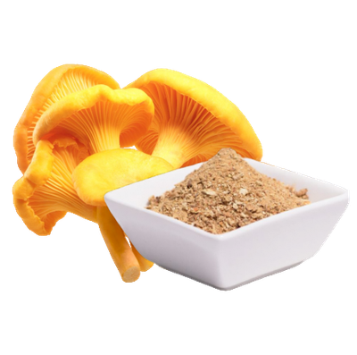 Pfifferling – Cantharellus Cibarius (60 Kapseln x 500 mg)