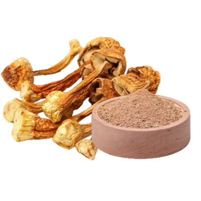Agaricus Blazei – Royal Sun Extrakt (400 mg x 60 Kapseln)