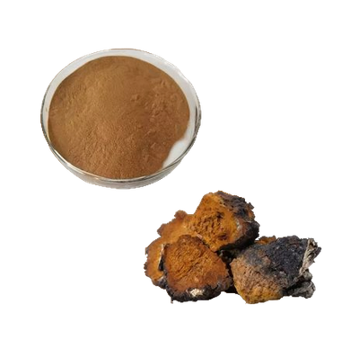Chaga (Inonotus obliquus) Pulver