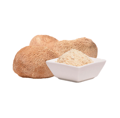 Lion’s Mane Wildsammlung Kapseln – natürliche Unterstützung für Gedächtnis &amp; Immunsystem
