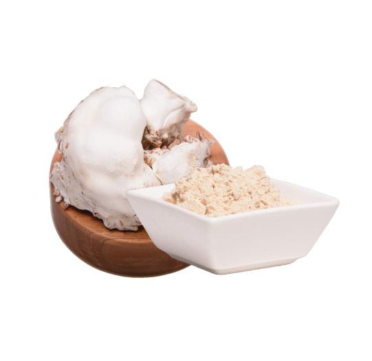 Natürliche Nahrungsergänzung: Lion’s Mane Kapseln für Fokus, Gedächtnis &amp; Immunsystem