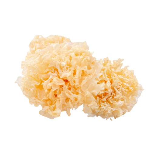 Tremella Extrakt Kapseln 400mg – Hochwertiger Schneepilz-Extrakt mit 50% Polysacchariden, vegane Kapseln in Premium-Qualität