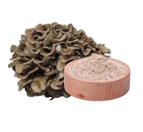 Tägliche Einnahme von Maitake Pilz Extrakt Kapseln zur natürlichen Unterstützung der Gesundheit und Vitalität