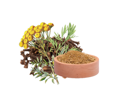 Trio-Kräuterkapseln 500mg – Nahrungsergänzung mit Tanacetum, Wermut und Nelke in pflanzlicher Kapselhülle