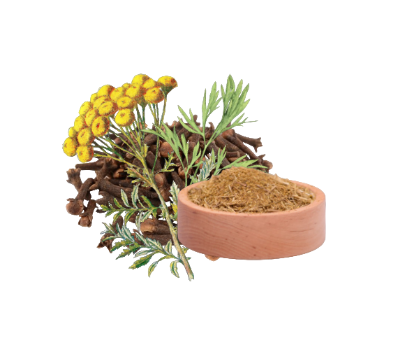 Trio-Kräuterkapseln 500mg – Nahrungsergänzung mit Tanacetum, Wermut und Nelke in pflanzlicher Kapselhülle