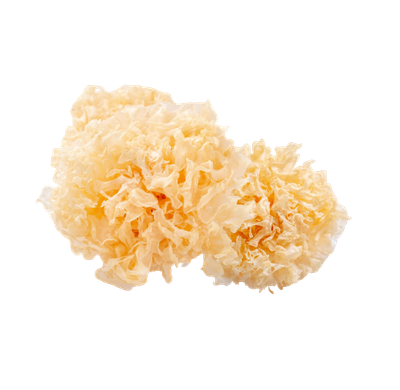 Tremella Extrakt Kapseln 400mg – Hochwertiger Schneepilz-Extrakt mit 50% Polysacchariden, vegane Kapseln in Premium-Qualität