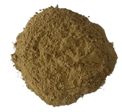 High-quality, premium Panther Cap mushroom powder for sale in Germany.