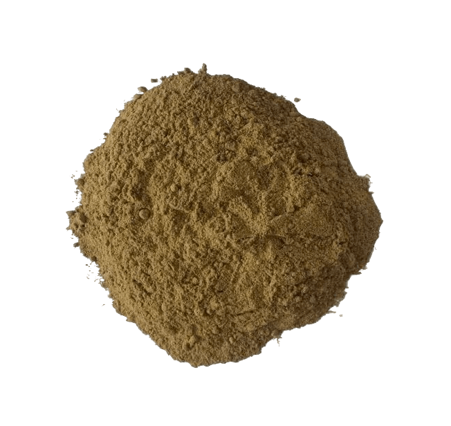 Buy Royal Fly Agaric Powder (Amanita Regalis)