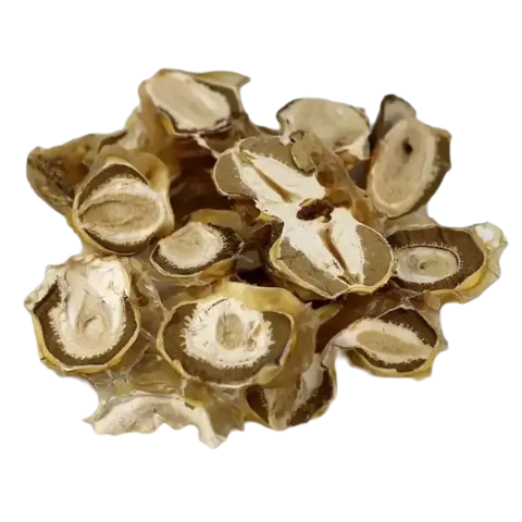 Close-up: Witch's egg (Phallus impudicus) – hand-picked from wild collection, gently dried for highest quality.