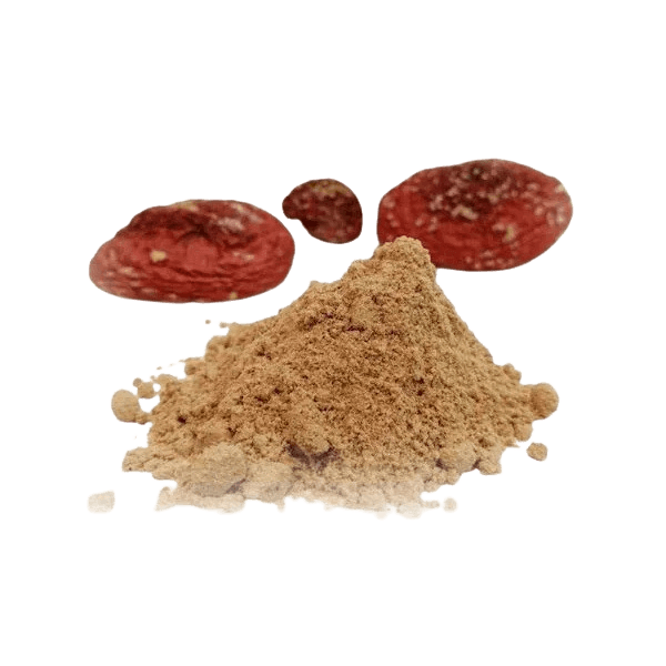 Buy Fly Agaric Powder (Amanita Muscaria) 2 g