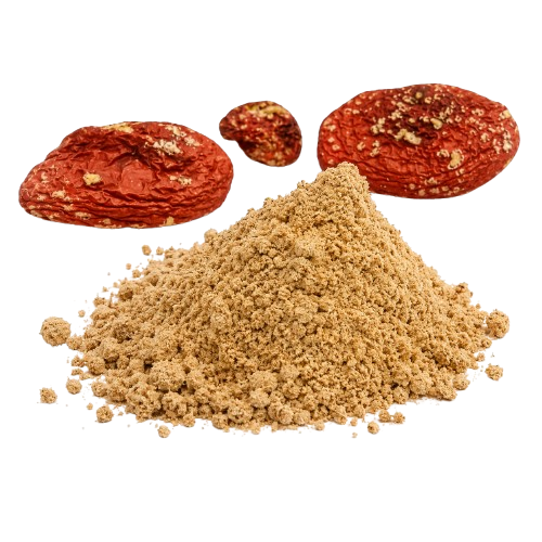 Buy Fly Agaric Powder (Amanita Muscaria) 2 g