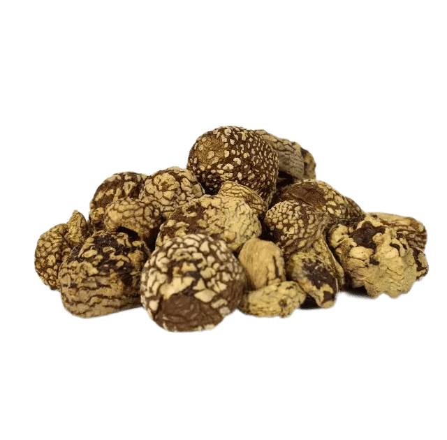 Buy Royal Fly Agaric Caps (Amanita Regalis)