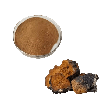 Chaga Mushroom Powder from Wild Collection 100 g Germany +++ Premium Quality+++