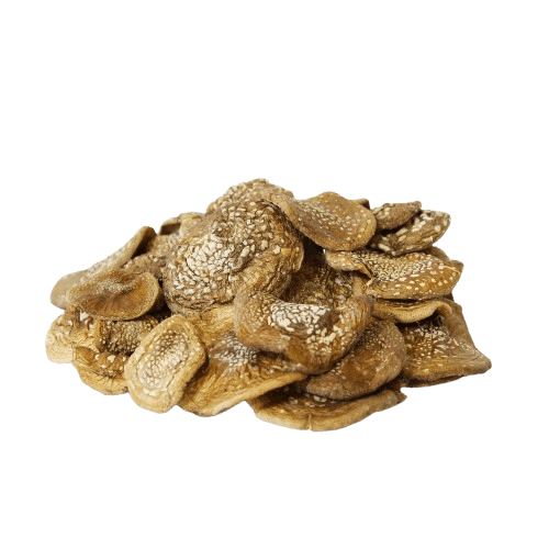 Buy Panther Cap Mushroom Caps (Order Amanita Pantherina) +++ Premium Quality