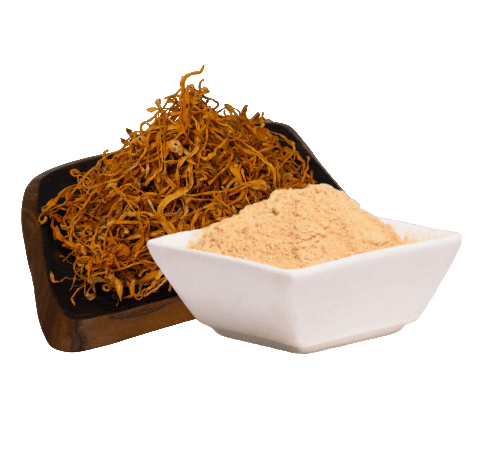 ​Cordyceps Extrakt (60 Kapseln x 500mg)