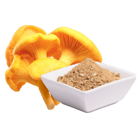 ​Goldene Pfifferlinge (Cantharellus cibarius) (60 Kapseln x 500mg)