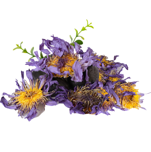 Blue Lotus Extrakt (60 Kapseln x 500mg )(Nymphaea caerulea)