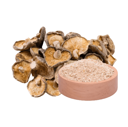 Shiitake (Lentinula edodes) Extrakt ( 60 Kapseln x 500mg )
