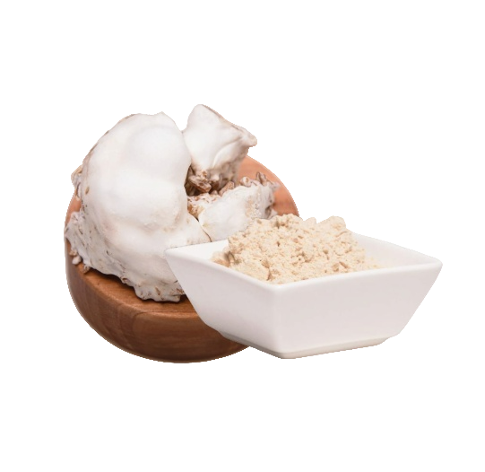Lion’s Mane (Hericium Erinaceus) - Kapseln 60 Stück à 0,5 g Extrakt