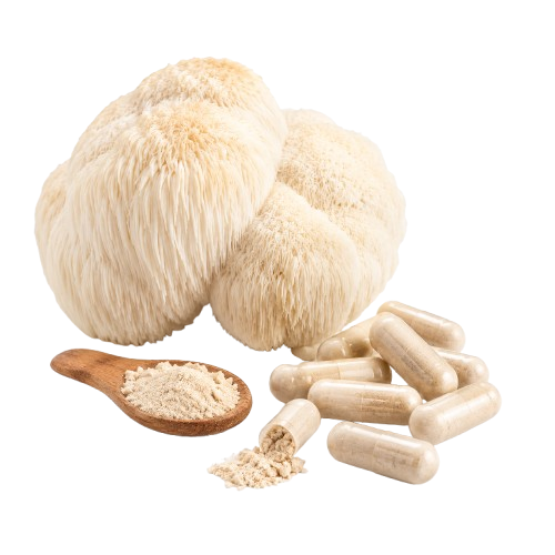 Lions Mane kaufen Deutschland