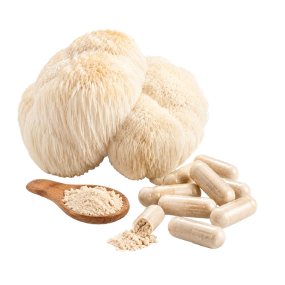 Lions Mane kaufen Deutschland