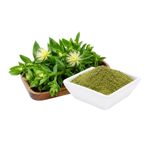 Kanna Pulver (Sceletium tortuosum) – fermentiert – 15 g