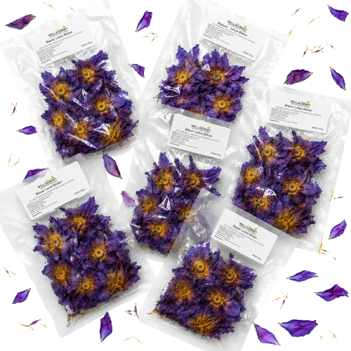 Vakuumierte Verpackungen mit violett-gelben Blauen Lotusblüten