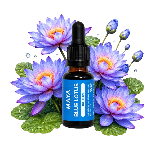 Blue Lotus Tincture – Nymphaea caerulea – 10 ml