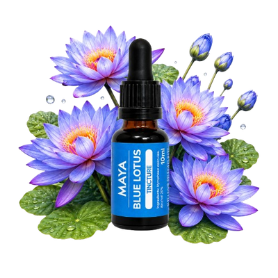 Blue Lotus Tincture – Nymphaea caerulea – 10 ml