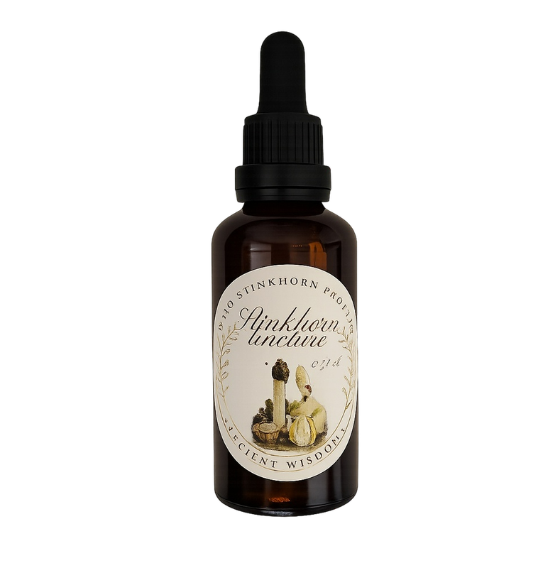 Stinkhorn-Tinktur 50 ml aus Wildsammlung