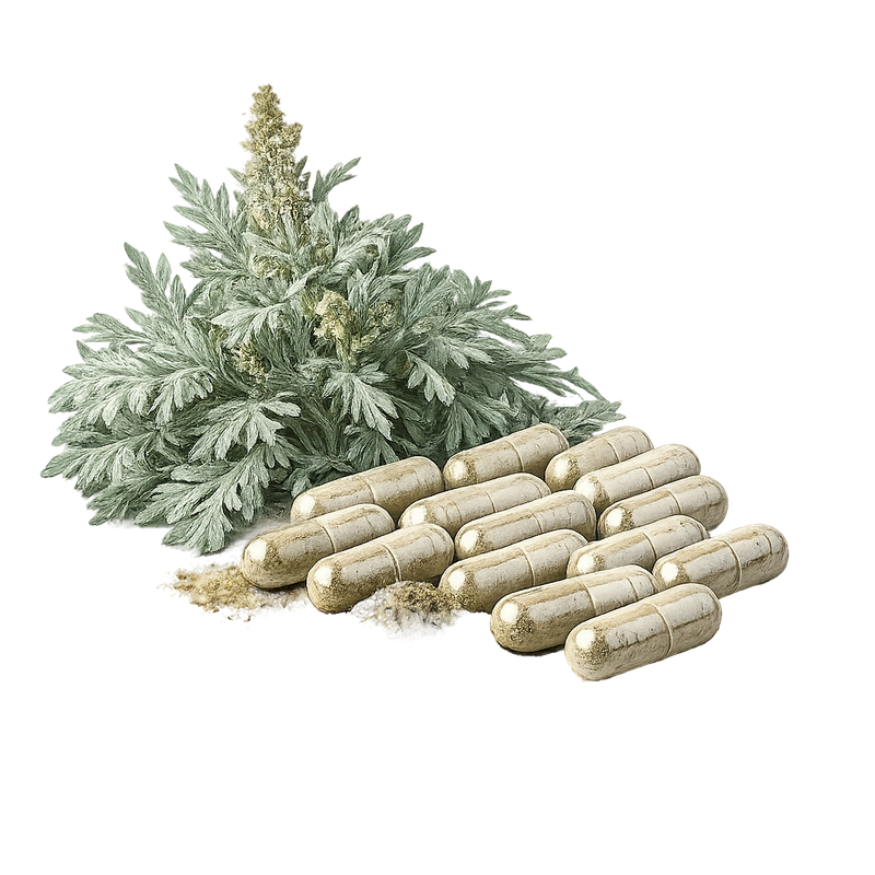 Wermut-Kapseln (Artemisia absinthium) Wildwuchs - 60 Kapseln x 350 mg
