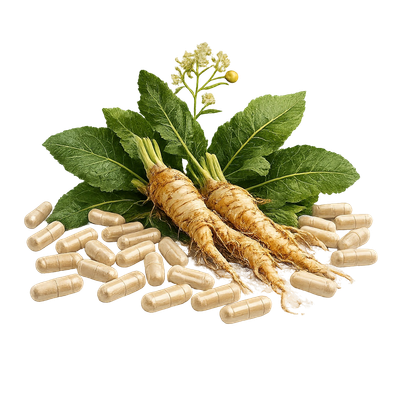 Meerrettich Kapseln 400 mg mit 100 % Armoracia rusticana Pulver