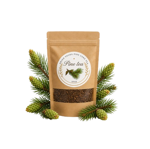 Kiefernzapfen Tee aus jungen Kiefernzapfen – 50 g Wildsammlung