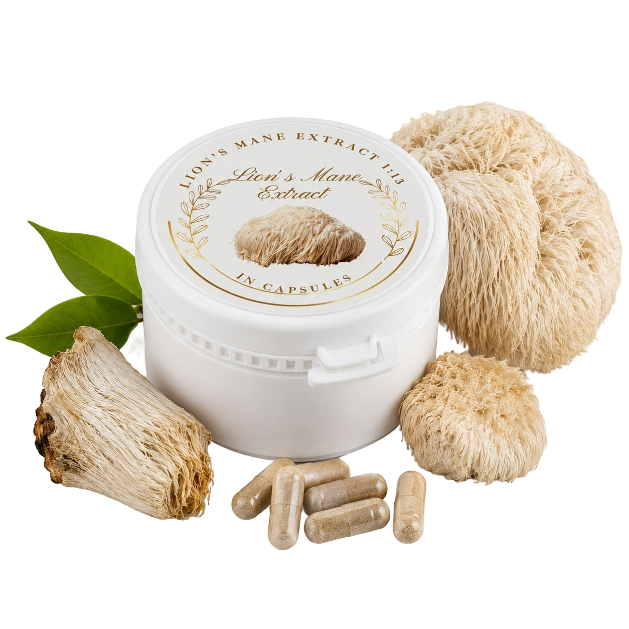 Vegane Lion's Mane Extrakt Kapseln aus Wildsammlung