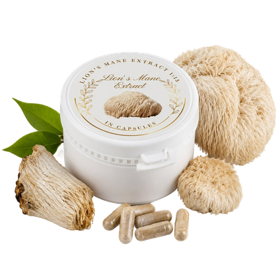 Vegane Lion's Mane Extrakt Kapseln aus Wildsammlung