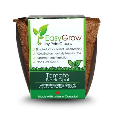 EasyGrow-Tomato