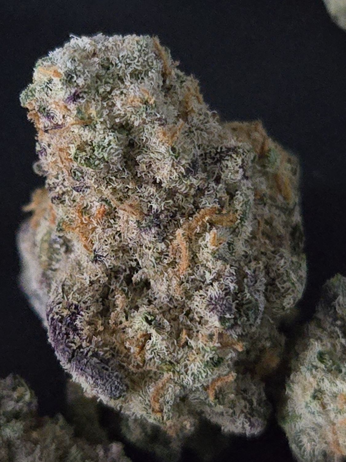 Durban Cookies Smalls