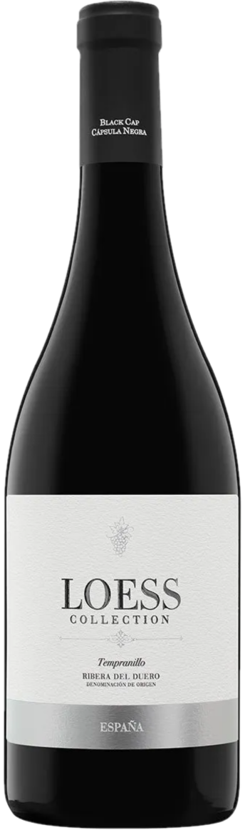 Loess Collection Tinto 2020
