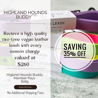 Highland Hounds Buddy