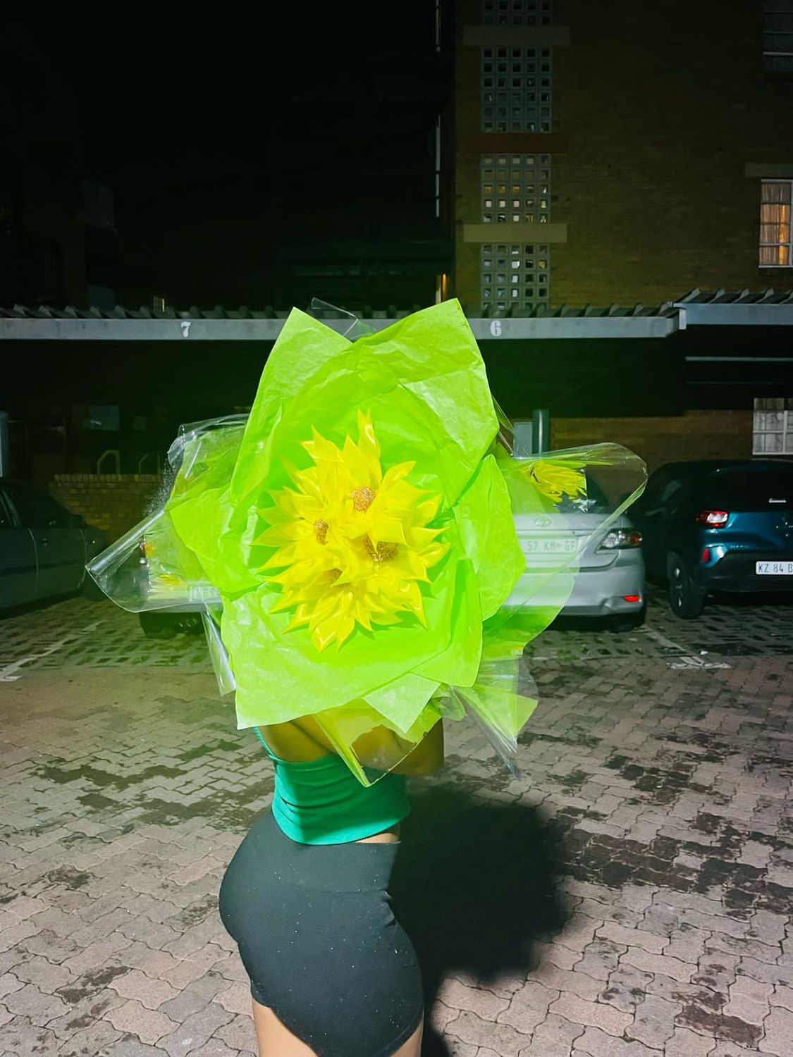 Sunflower
