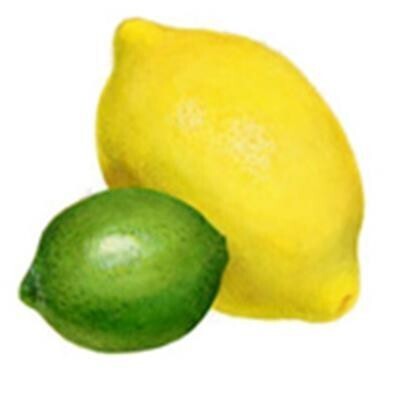 30 ml Australian Lemon Lime Oil (Concentrate)