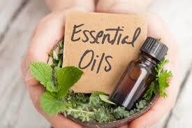 ESSENTIAL OILS - (WHOLESALE) - 5mL SELECTION + DROPPER (SAMPLE SIZE)